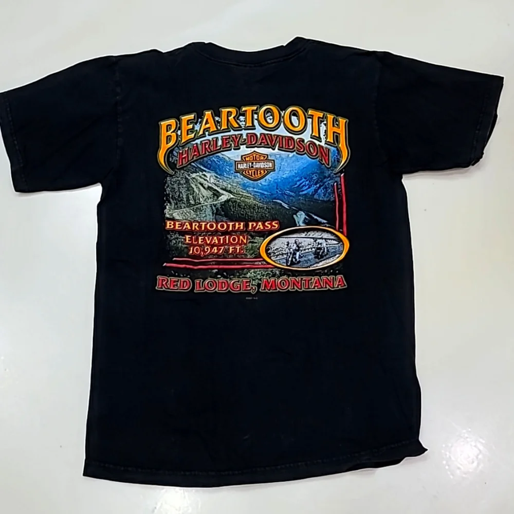 Harley-Davidson T-Shirt Medium Men's  - Beartooth